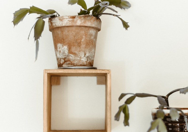 Roble, nogal o fresno para el mueble a medida