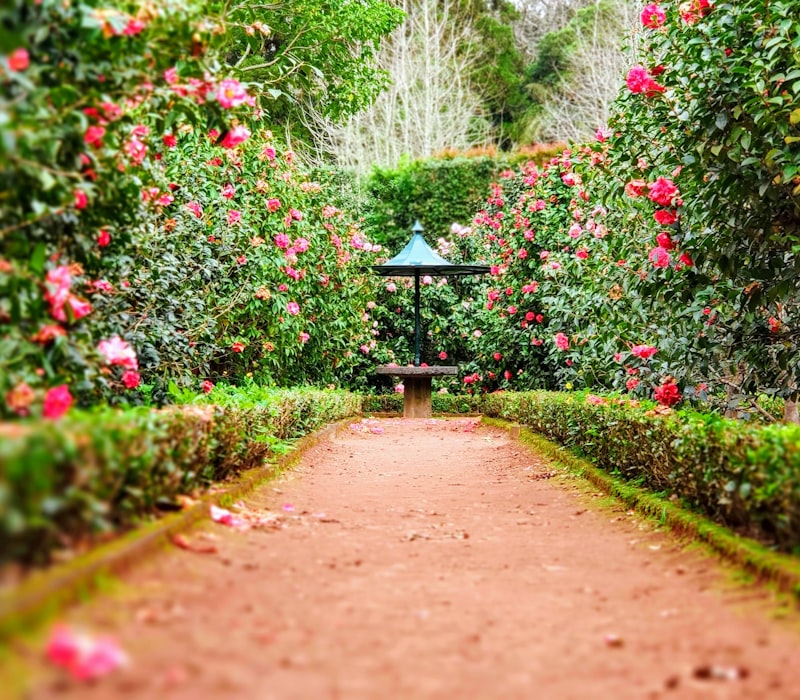 Casa en B&eacute;tera