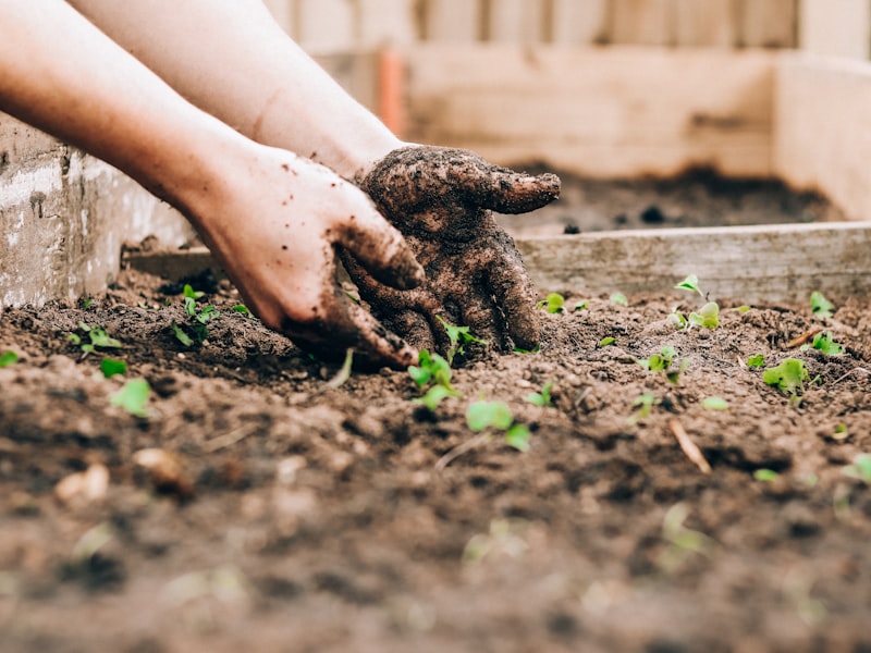 Cu&aacute;nta agua necesita de verdad tu jard&iacute;n en verano